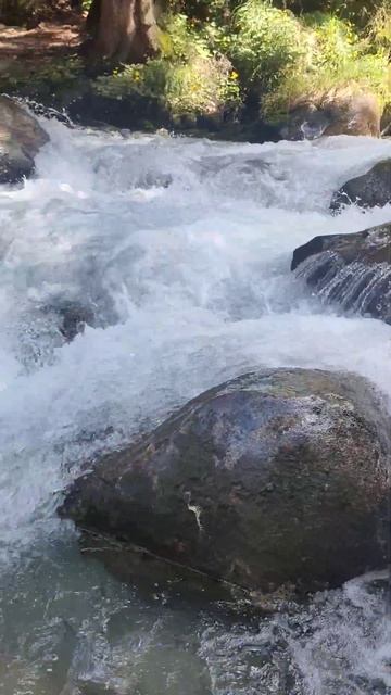 #домбай #теберда #улумуруджу#природа #горы #реки #лето #кчр смотреть онлайн