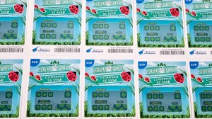 Удачная Примета, Лото