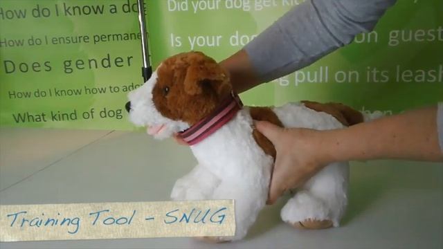 Martingale Dog Collar Collar - How to measure, fit, and use martingale dog collars for leash walkin смотреть онлайн