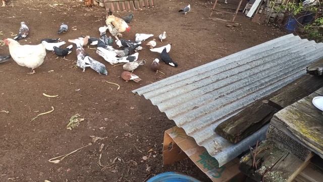 что бы не забыли смотреть онлайн