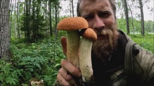 Грибы. Провалился в болото