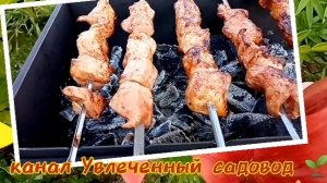 Вкратце о моем канале "Увлеченный садовод 🌱"