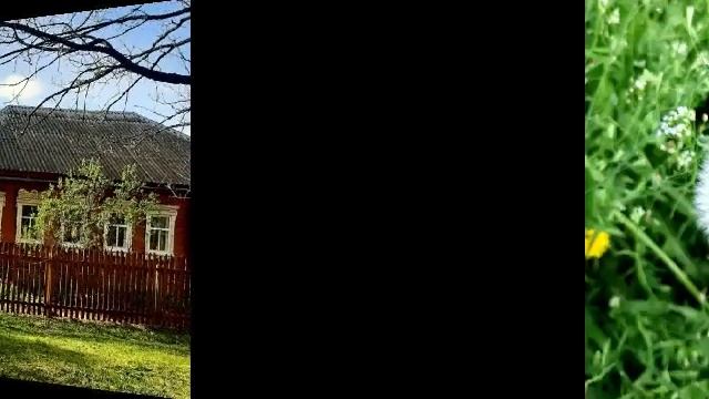 Позитивная весна.mp4 смотреть онлайн