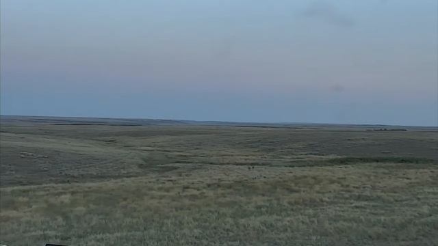 Bison Calving Plains 08-14-2018 02:01:27 - 03:01:28 смотреть онлайн