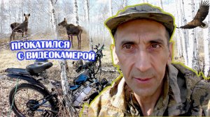 Электротяга рулит. Лоси и косули потеряли осторожность. Орлан белохвост