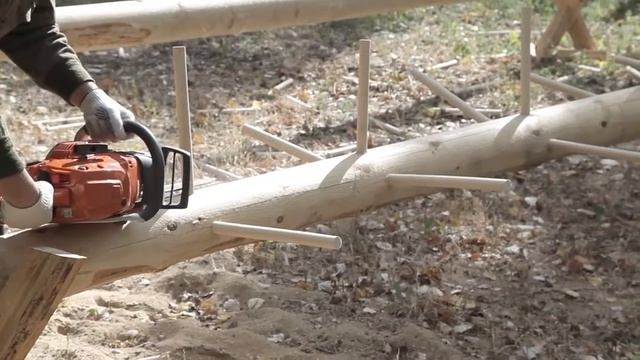 Всероссийские соревнования «Лесное многоборье 2020». Партнер – Husqvarna смотреть онлайн