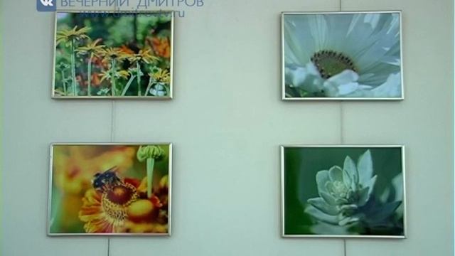 Выставка молодых фотохудожников Екатерины и Дмитрия Матвеевых смотреть онлайн