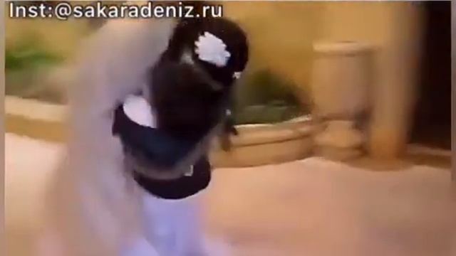 😂 Смешные моменти из турецких сериалов (5) смотреть онлайн