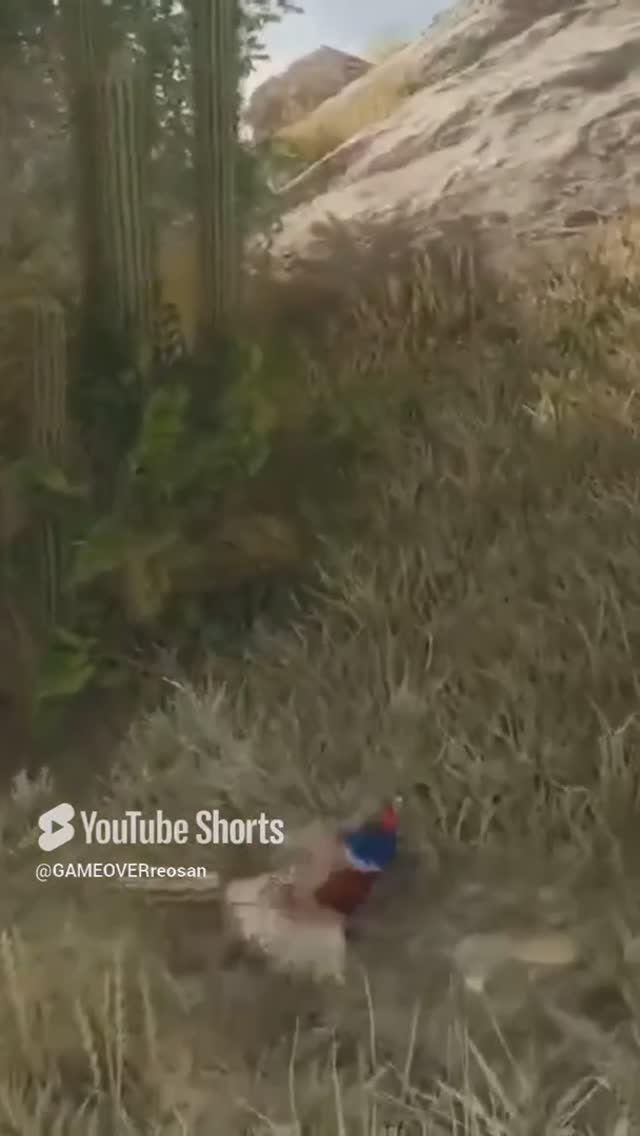 фазан такого не ожидал 😂 смотреть онлайн