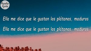 El Alfa El Jefe - Suave (Letra/Lyrics Video)