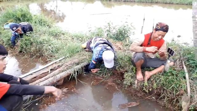 PUAAAS !!!SENSASI TARIKAN BELUT RAWA SUNGGUH LUAR BIASA //MANCING BARENG