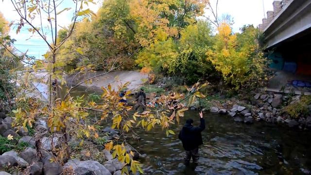 Combat Salmon Fishing Lake Michigan Tributary Rivers | Illegal Snagging and Netting | DNR Contacted смотреть онлайн