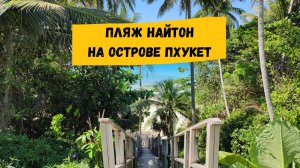 Пляж Найтон на Пхукете: обзор и описание пляжа, рынки, рестораны, магазины