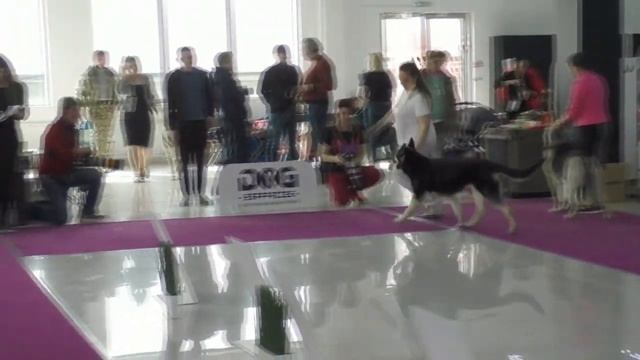 Зазноба смотреть онлайн