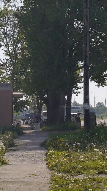 Загородный клуб в Копорье #realestate #недвижимость #инвестиции смотреть онлайн