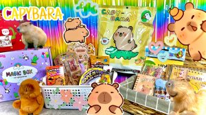 😱КАПИБАРЫ! СУПЕР РАСПАКОВКА! 100 СЮРПРИЗОВ С КАПИБАРАМИ! 🦦💥 Вкусняшки, Мега-Канцелярия и Игрушки!