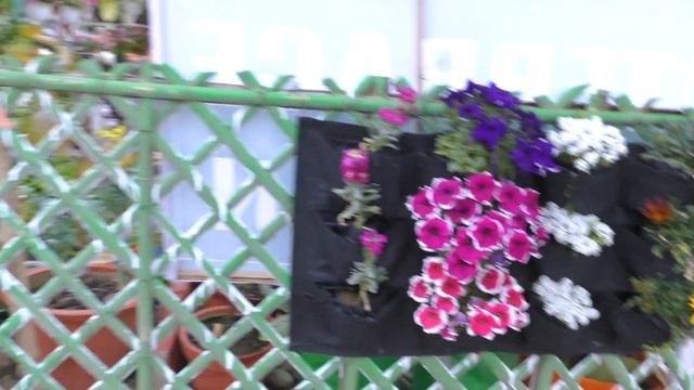 The Amazing Vertical Garden смотреть онлайн