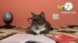 Котинет: 7 ВЫПУСК