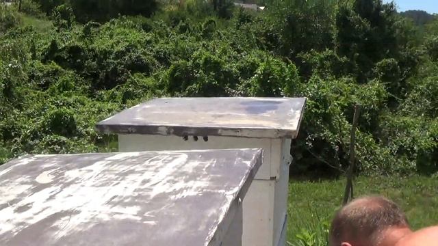 Раздаём сироп.18+ смотреть онлайн