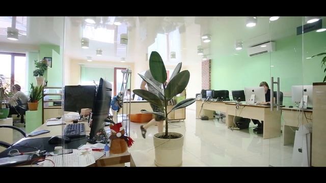 DOU Ревизор в Одессе_Прибрежный офис Provectus смотреть онлайн