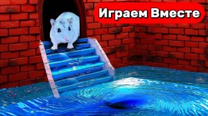 Водоворотный лабиринт: новые приколы с Умным Хомяком 🌊🐹 Видео для детей 🌊🐹