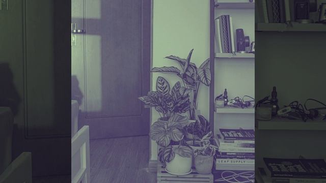 Созерцая (Ресторан гостиницы) смотреть онлайн