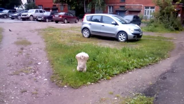 Мартюша писает смотреть онлайн