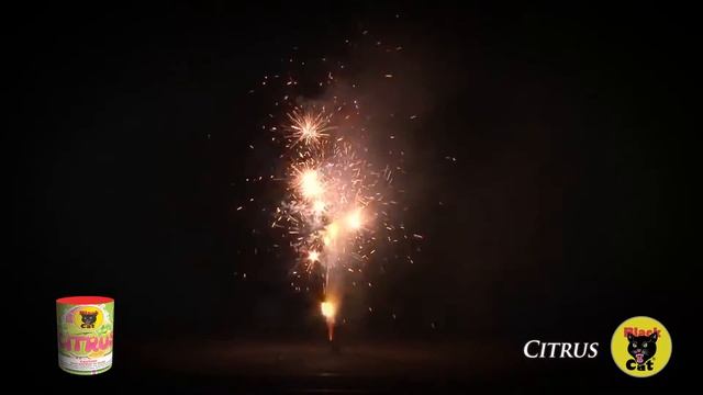 Citrus смотреть онлайн