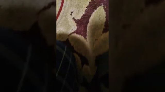 Обзор походного рюкзака с алиэкспресс😀 смотреть онлайн