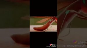 Смешные видео. Маски ест человека