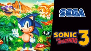 Sonic The Hedgehog 3 (SEGA) ВСЕ ИЗУМРУДЫ ХАОСА