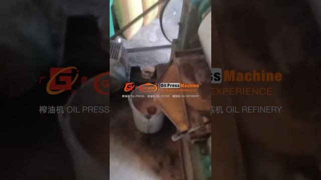 6.5Tons Per Day Screw Oil Press Guangxin YZYX120 Oil Extraction Machine #oilmachine #coldpressedoil смотреть онлайн