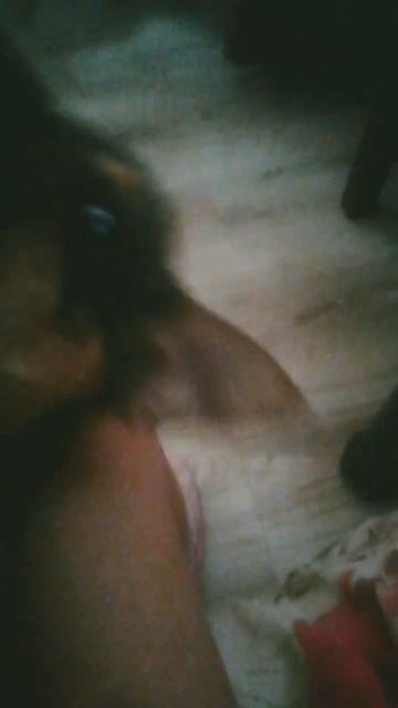 Сабака укусила за шию