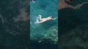 PICKALBATROS DANA BEACH RESORT HURGHADA 5* - Крутецкий, огроменный, ухоженный, красивущий отель!!!