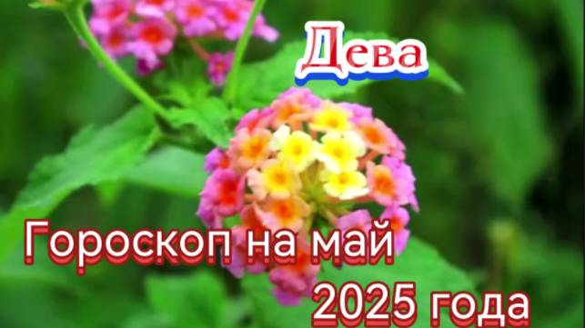 Дева! Гороскоп на май 2025 года! смотреть онлайн