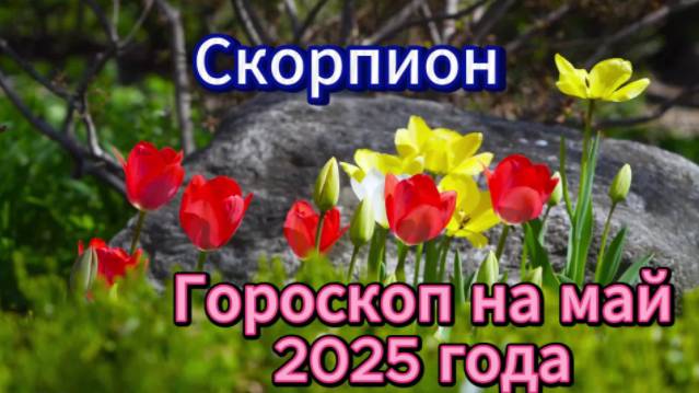 Скорпион! Гороскоп на май 2025 года! смотреть онлайн