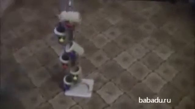 Ведрышки Мир Деревянной Игрушки смотреть онлайн