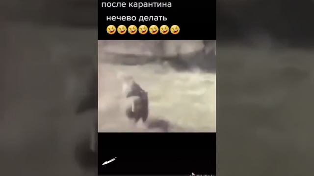 дорогу покажешь смотреть онлайн