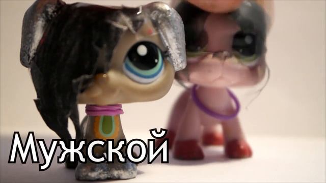 LPS MV-~*Твой пол мужской!*~ смотреть онлайн