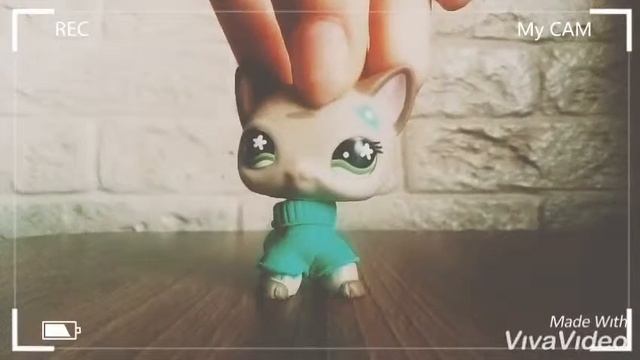 LPS: разговорное видео 🎀❤️ #читать описание смотреть онлайн