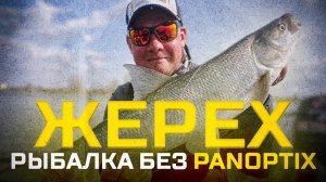 Рыбалка без PANOPTIX. Ловля жереха на Волге. Где искать жереха весной?