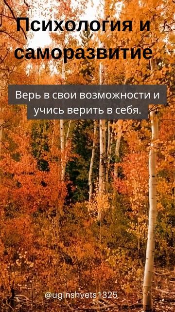 Верь в свои возможности и учись верить в себя смотреть онлайн