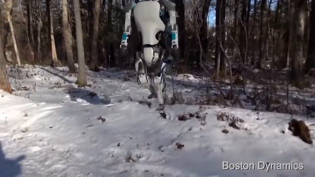 ჭკვიანი მანქანები-რობოტები смотреть онлайн