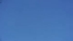 Голуби Серпастые в небе у Чёрноморского побережъя