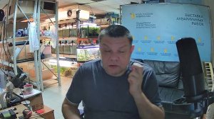 Прямая трансляция из рыборазводни Русские аквариумы. Поговорим о рыбках