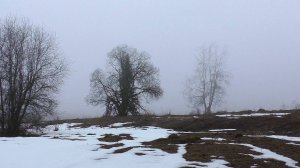 В поисках ПЯТАКА времён ЕКАТЕРИНЫ II!!! Найду ли!? №155