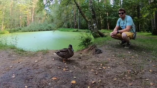 Парк МАЛЕВИЧ смотреть онлайн