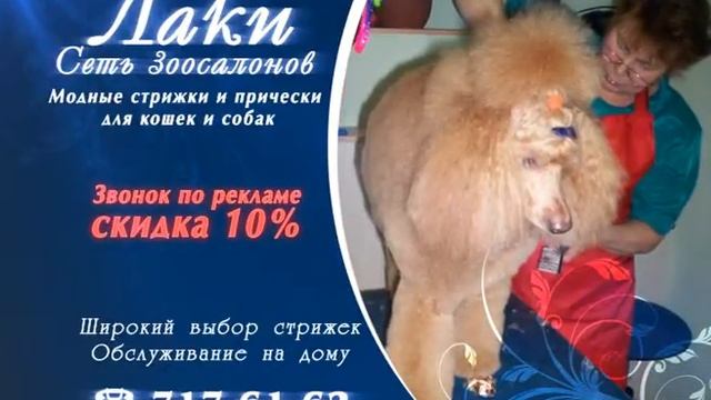 Зоосалон "ЛАКИ" смотреть онлайн