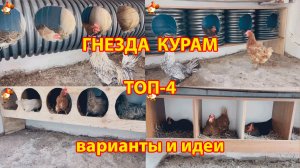 Гнезда для кур ТОП-4 варианта из труб и досок понравились несушкам ❣️🤗😂