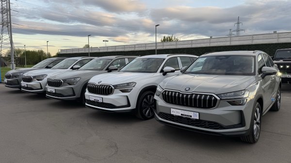 Skoda Kodiaq New 2025 Selection Graphite Grey